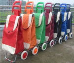 2 in 1 Dettachable Trolley