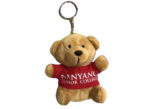 Customised Mini Bear w Keyring
