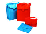 ATMB2103 Foldable Cooler Bag