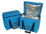 Cooler Bag 1