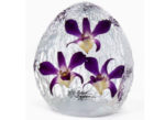 Acrylic Orchid Paperweight