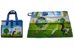 PP Lamination Picnic Mat (Full Color)