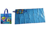PP Lamination Picnic Mat