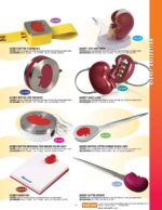 Kidney 1