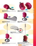 Kidney 2
