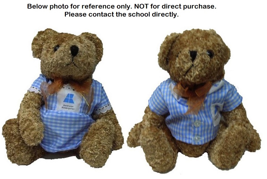 Bear In School Uniform