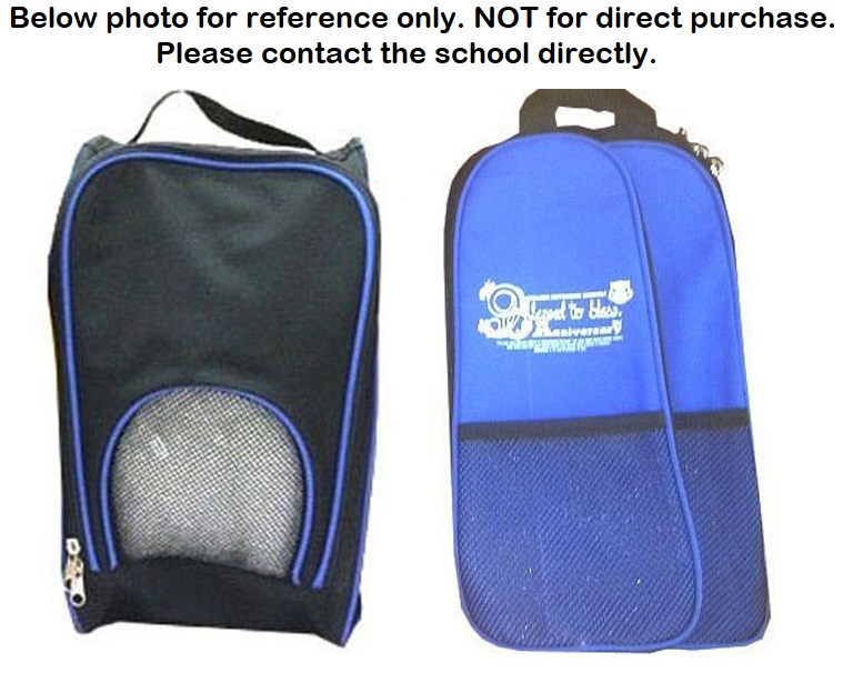 Shoe Bag