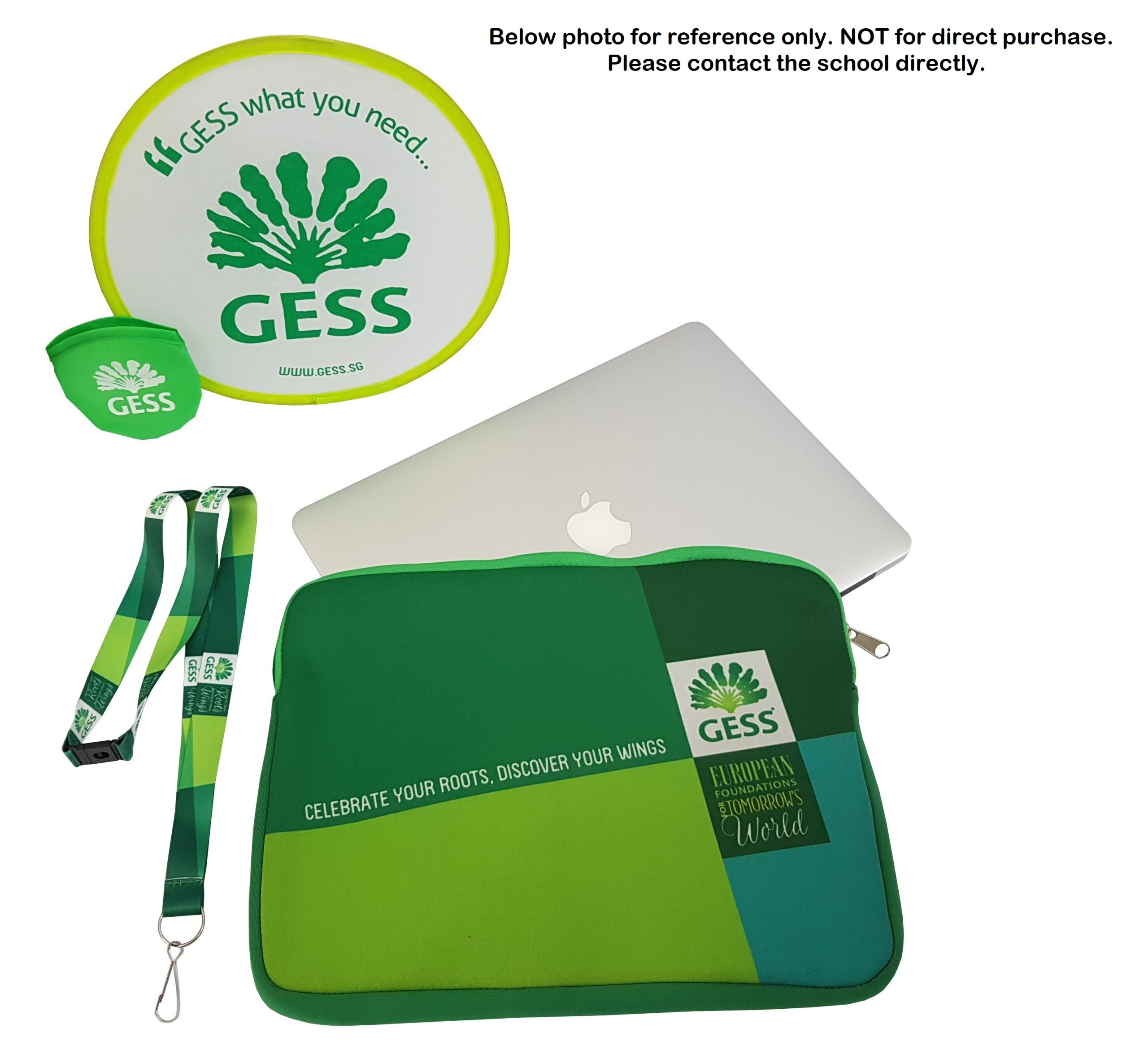 GESS