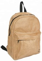 Tywek Eco-Friendly Backpack