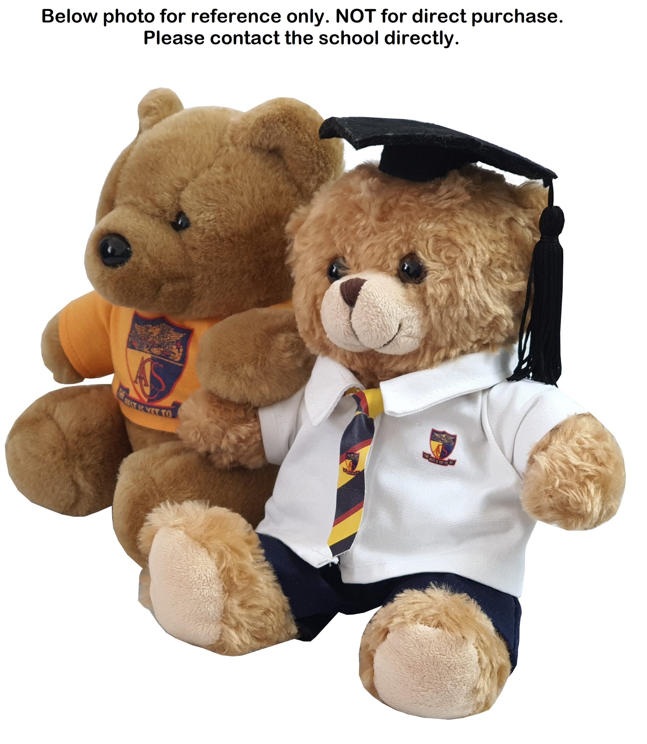 Bear with School Uniform