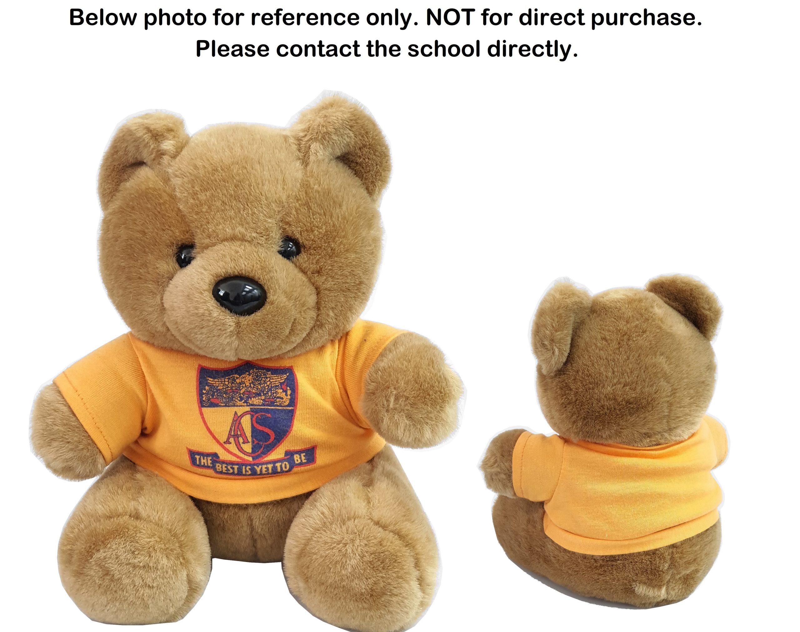 Rugby Bear