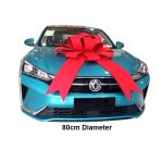 Giant Bow for Cars