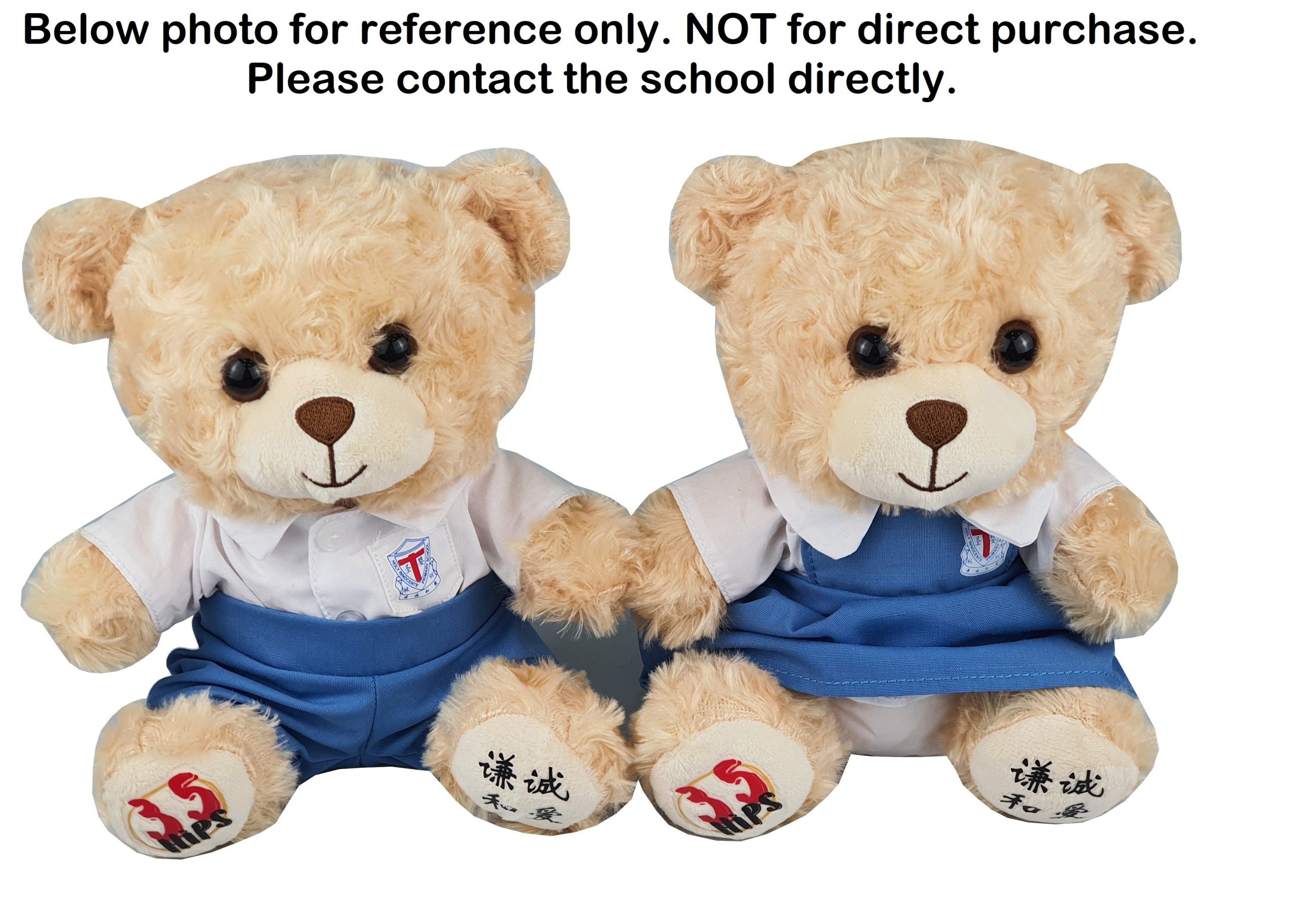 Customization School Bear