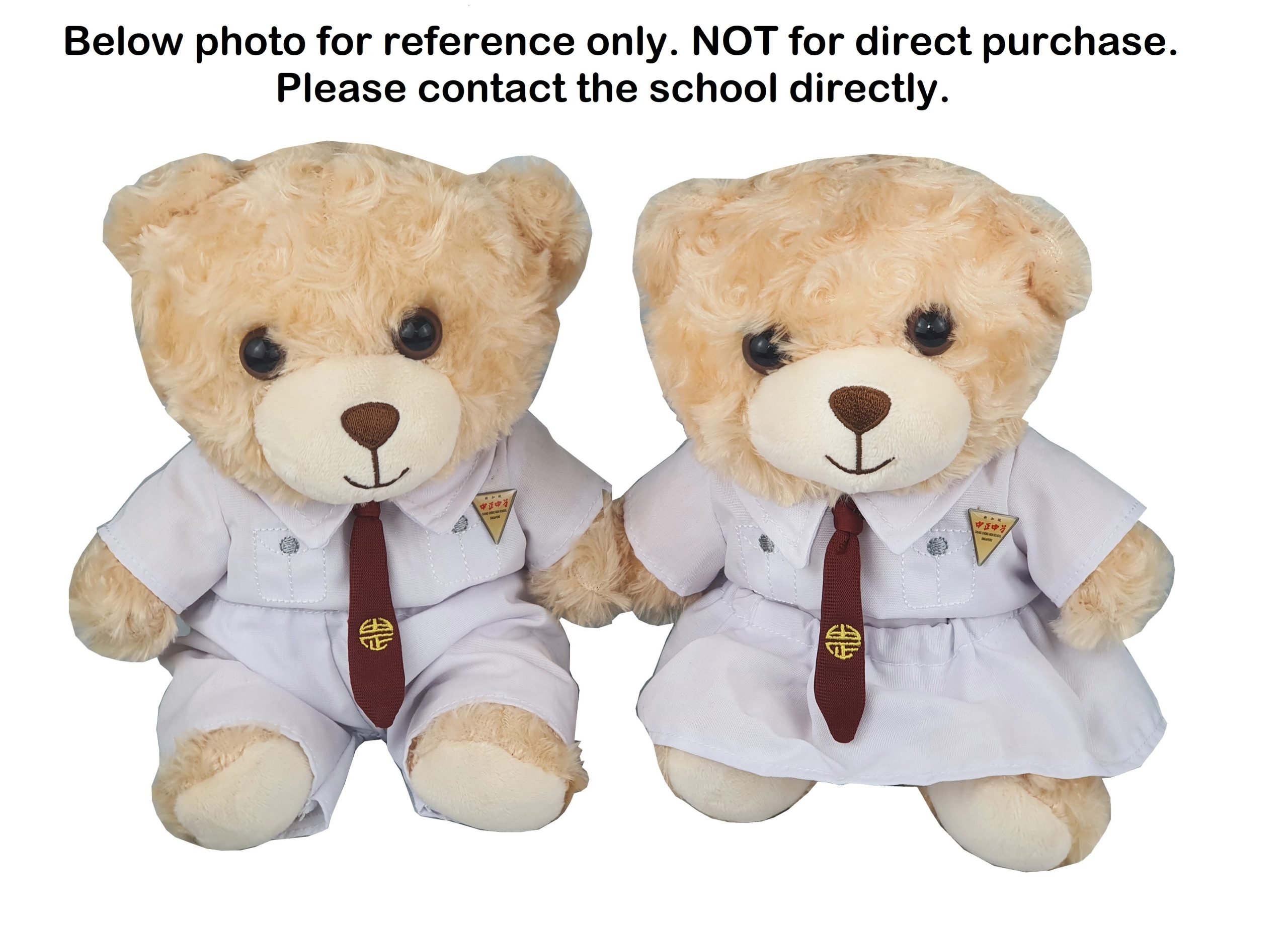 Bear in School Uniform