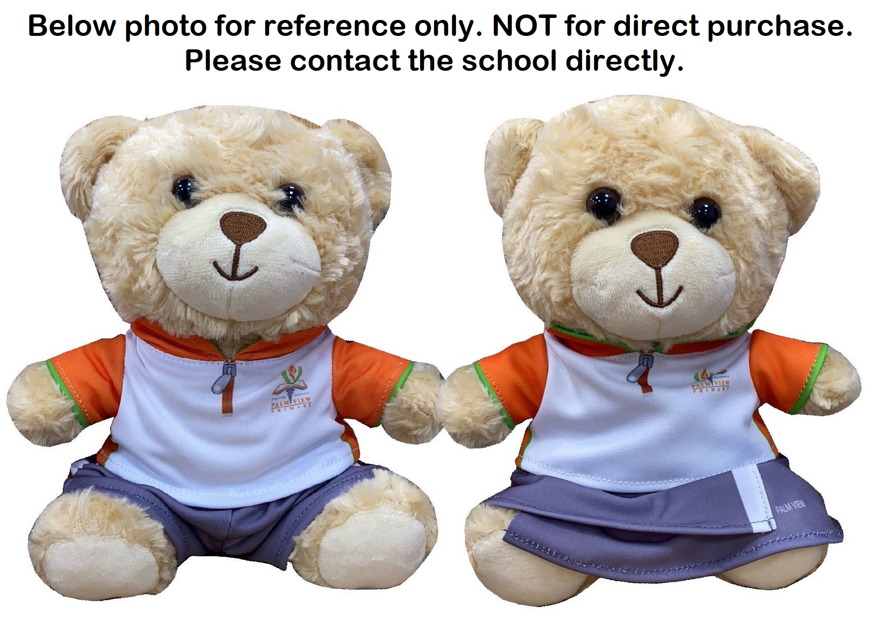 Bear in School PE Attire