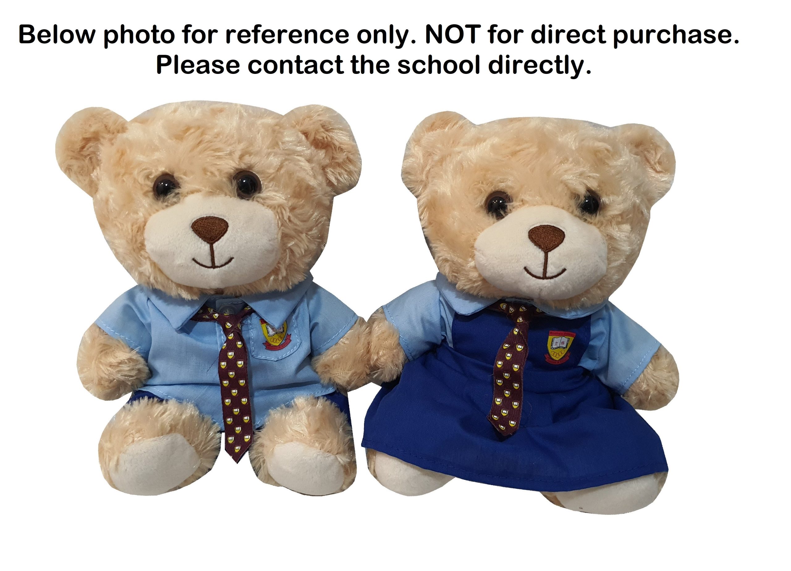 Bear with Pinafore Uniform