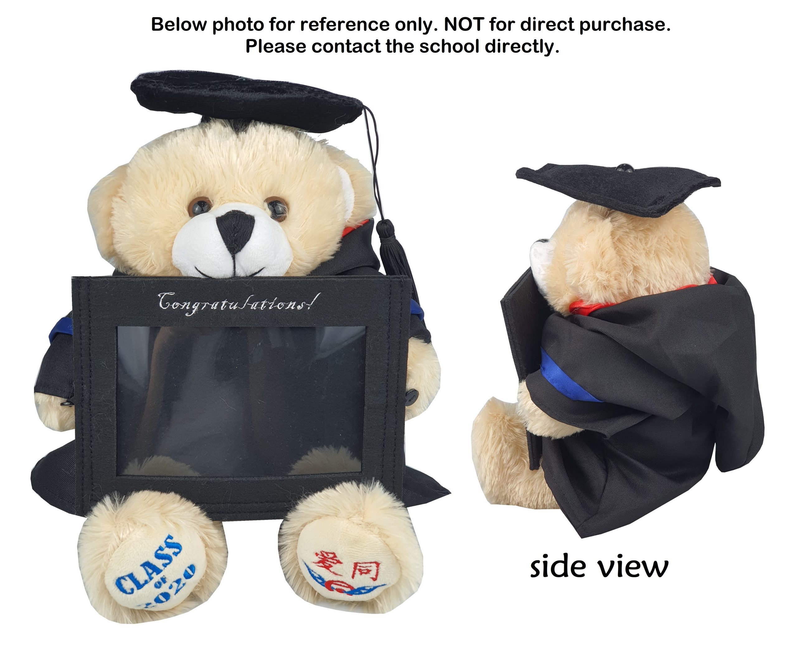 Bear in Graduation Suite-Ai Tong