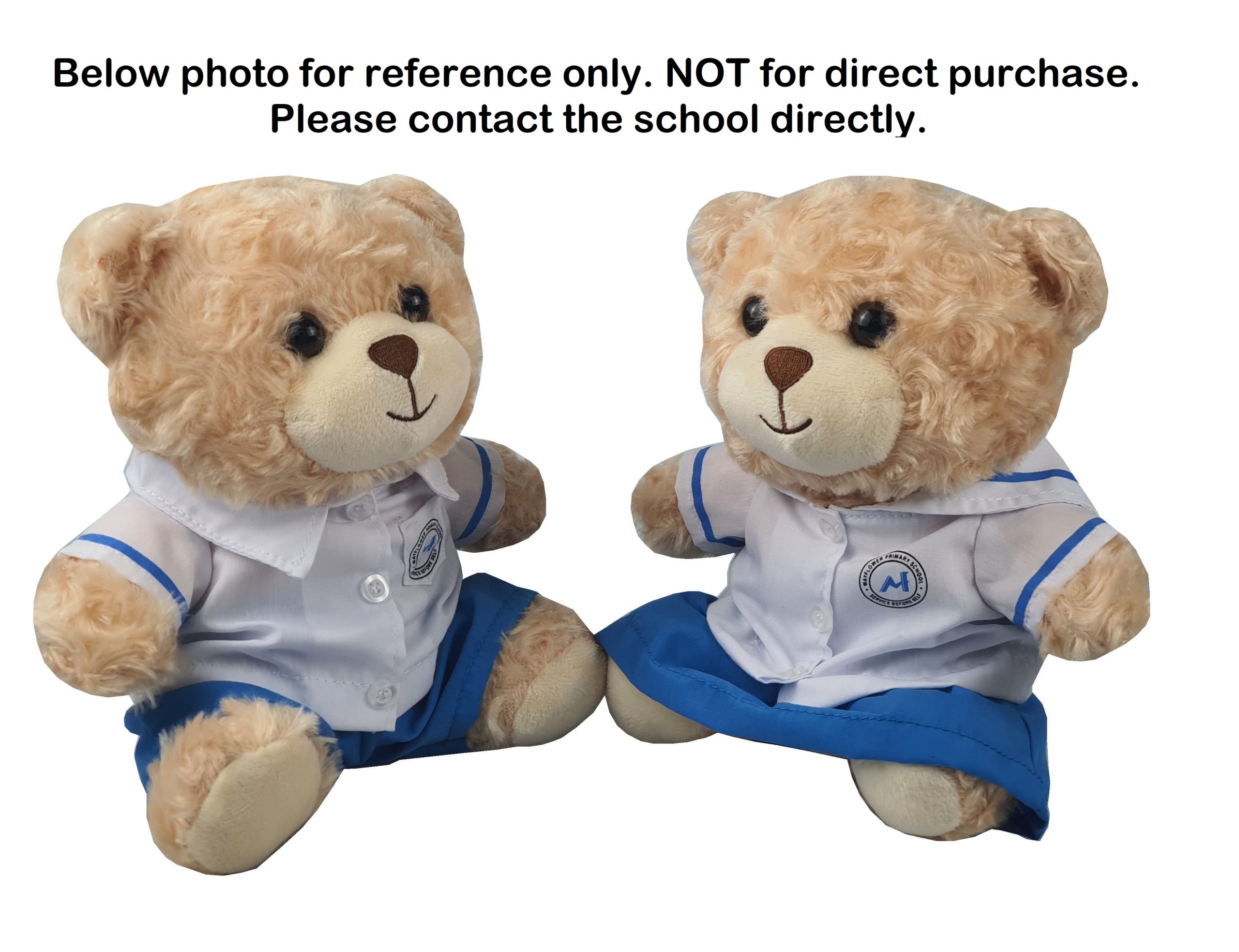 Mayflower Teddy Bear