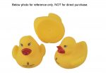 Rubber Duckling
