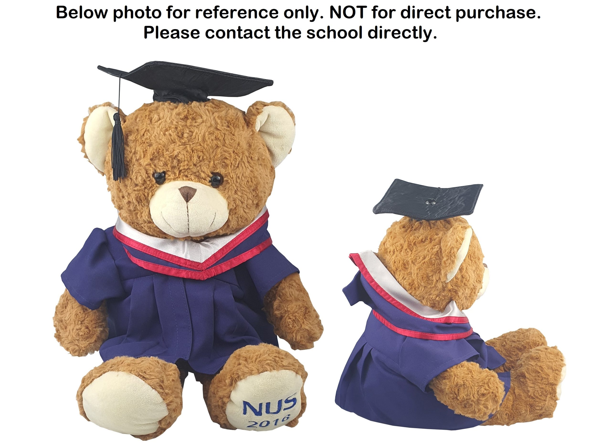 Bear in Graduation Suit-NUS