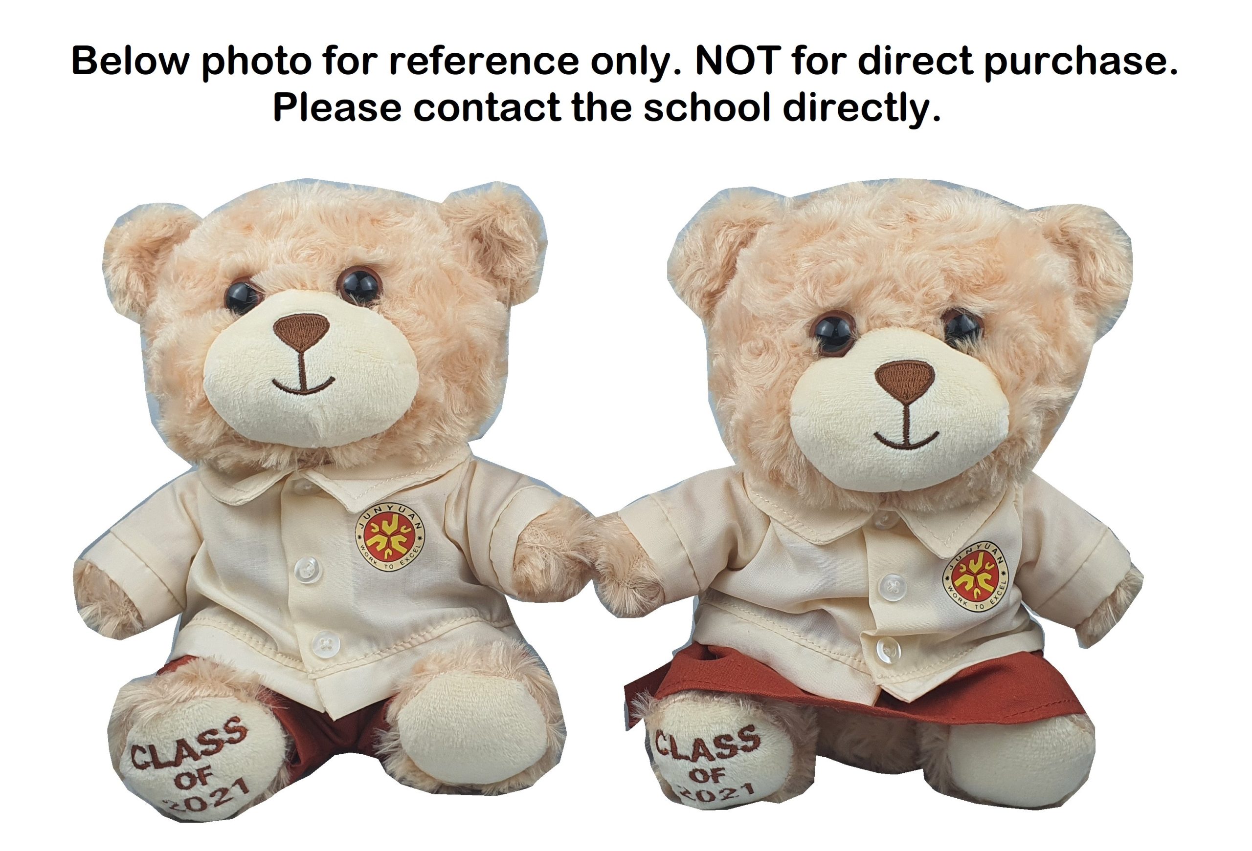 Teddy Bear with School Uniform