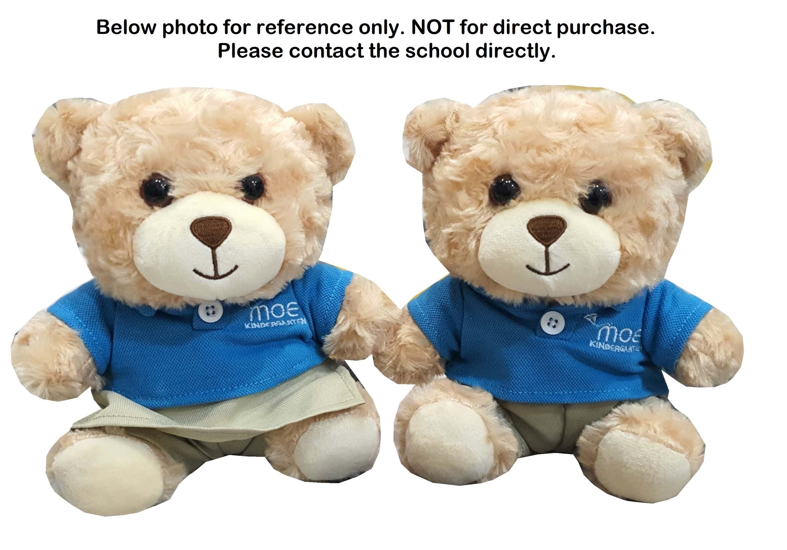 Custom Teddy Bear