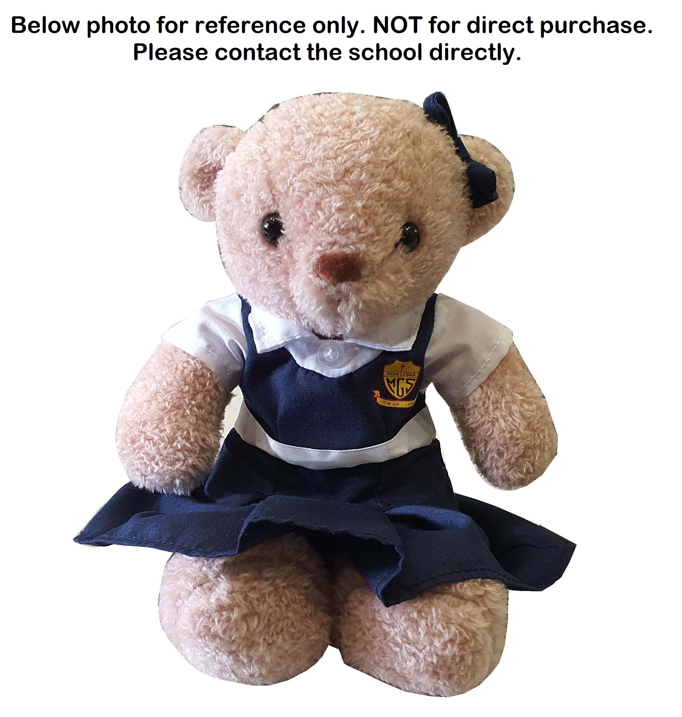 PLMGS Teddy Bear