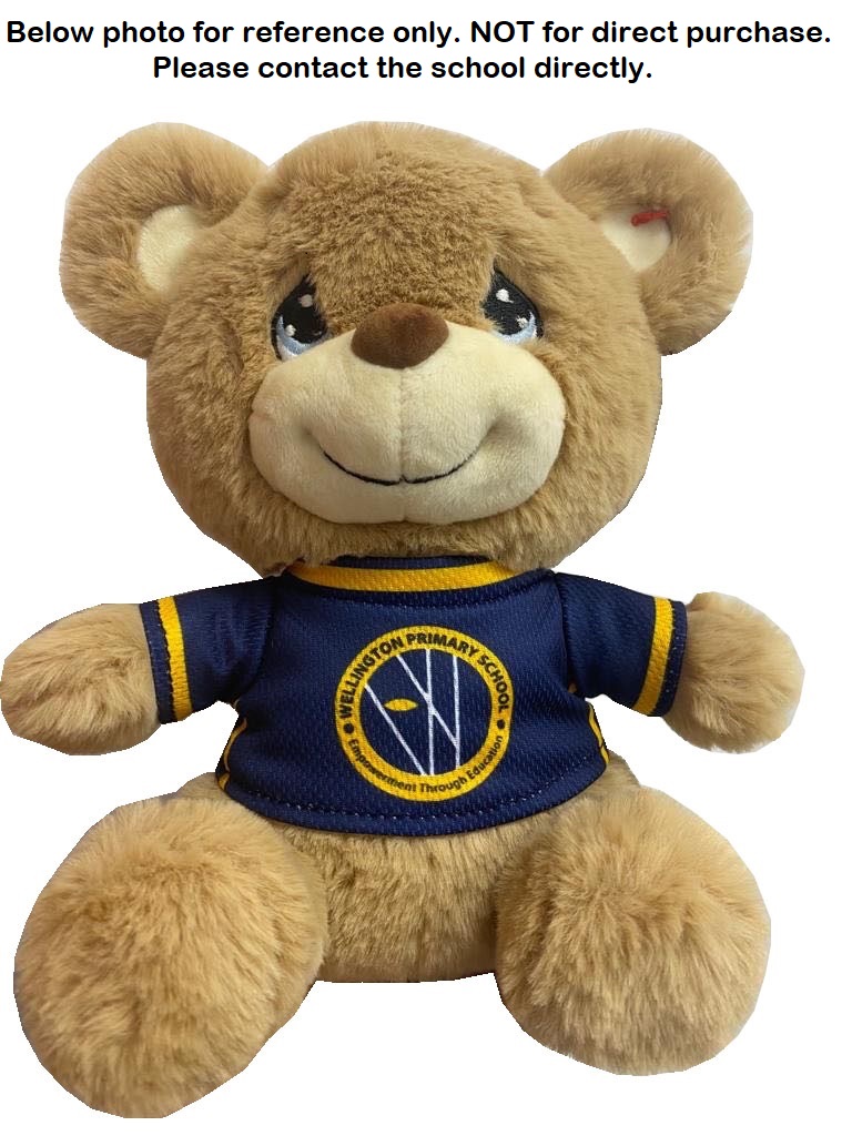 Wellington Pri Sch Teddy Bear