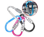Carabiner Lock