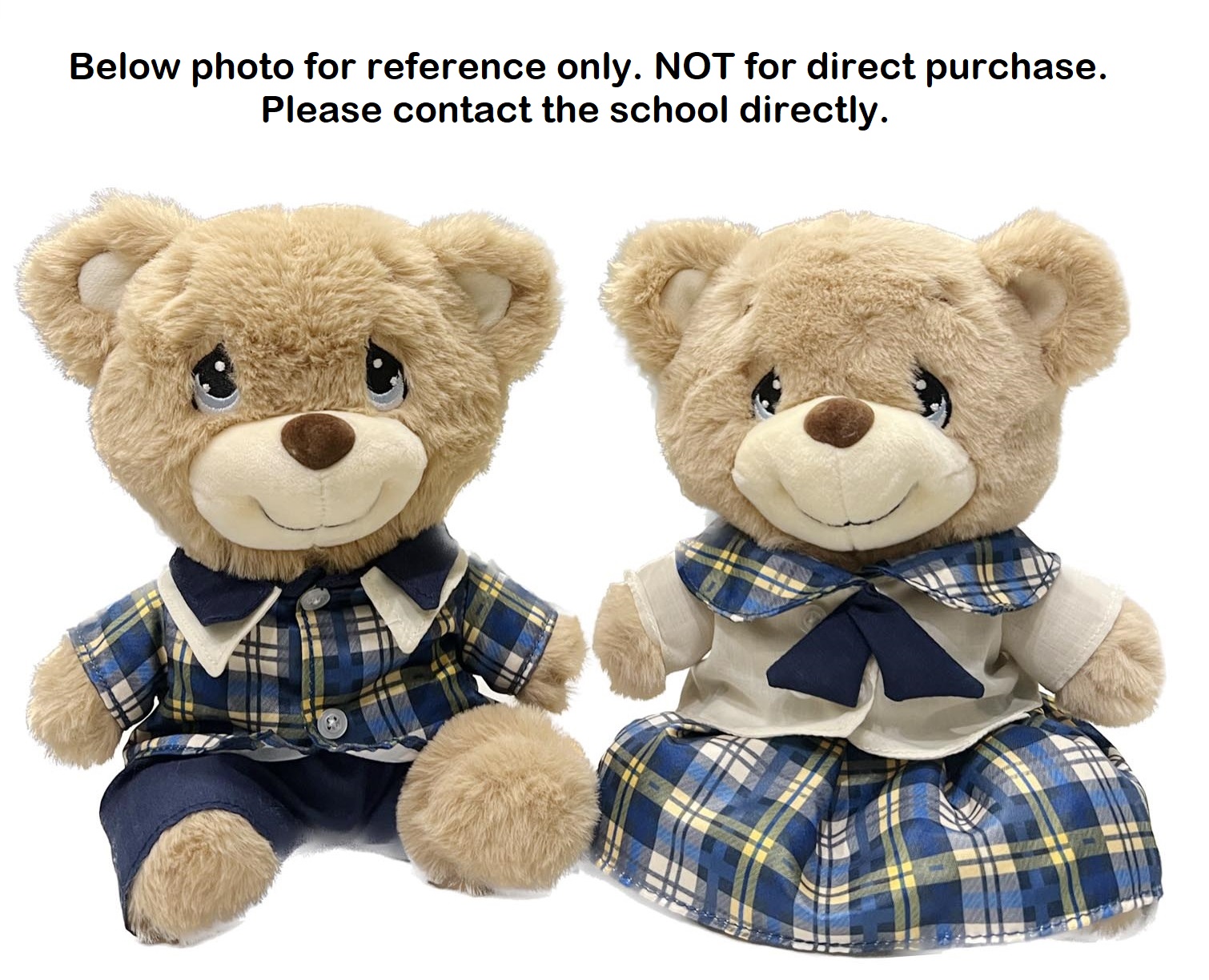 Stamford Primary School Teddy Bear with Uniform