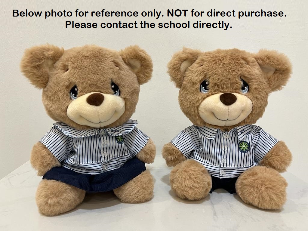 DaZhong Teddy Bear