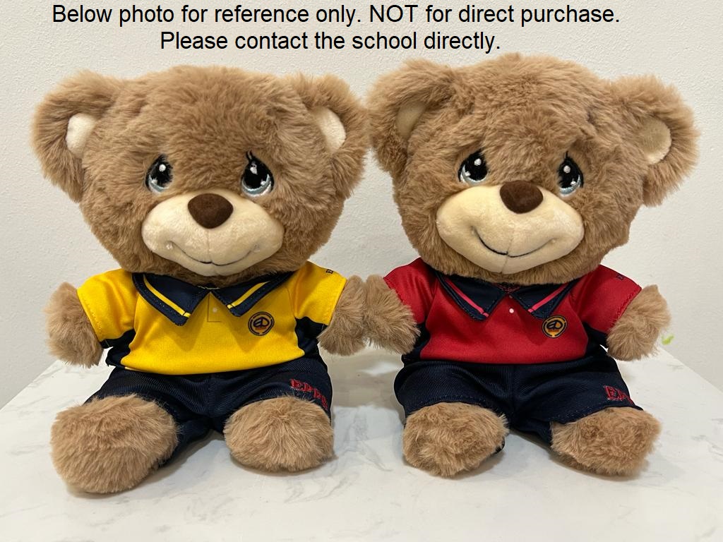 Customised Teddy Bear with School PE Attire