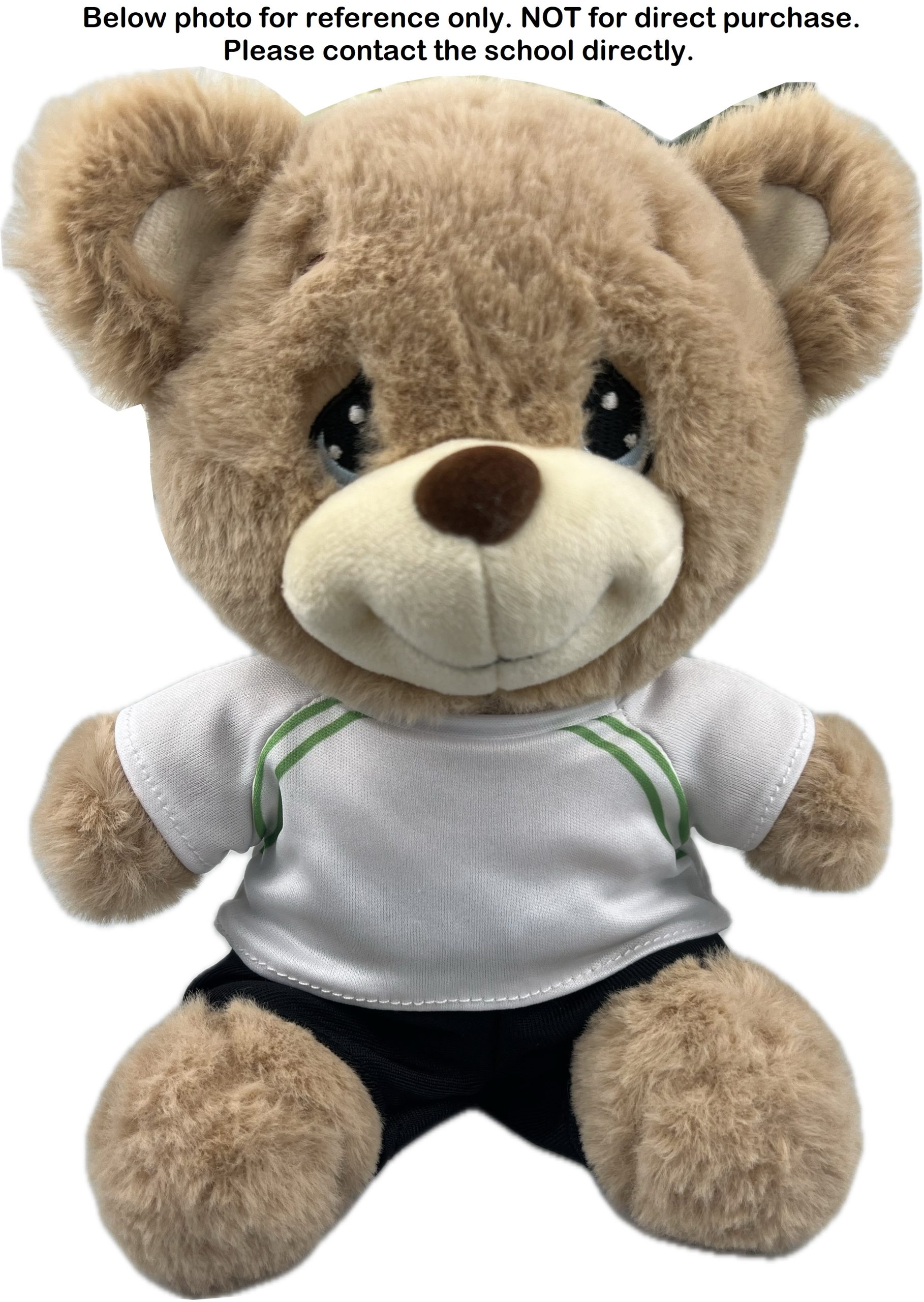 ITE Teddy Bear