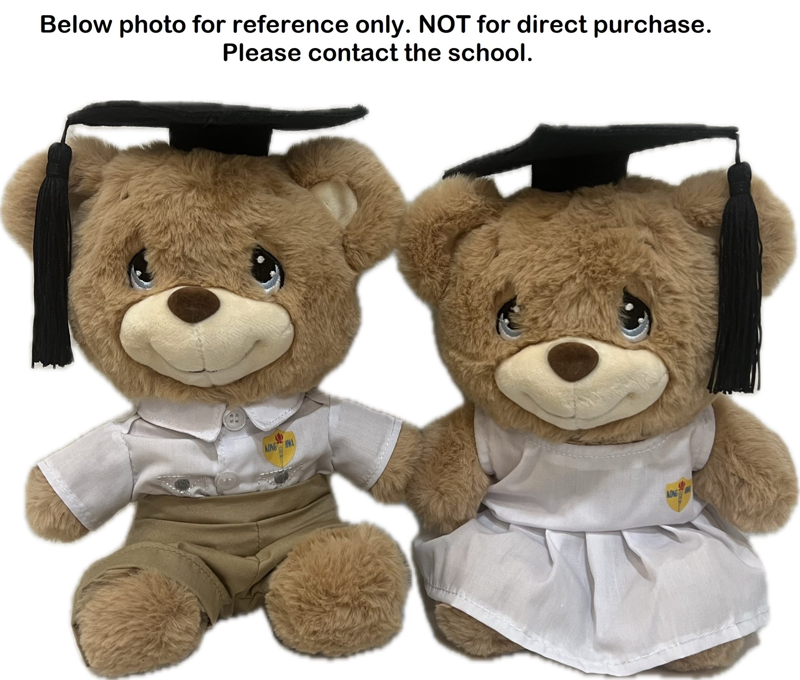 Customised Graduation Bear