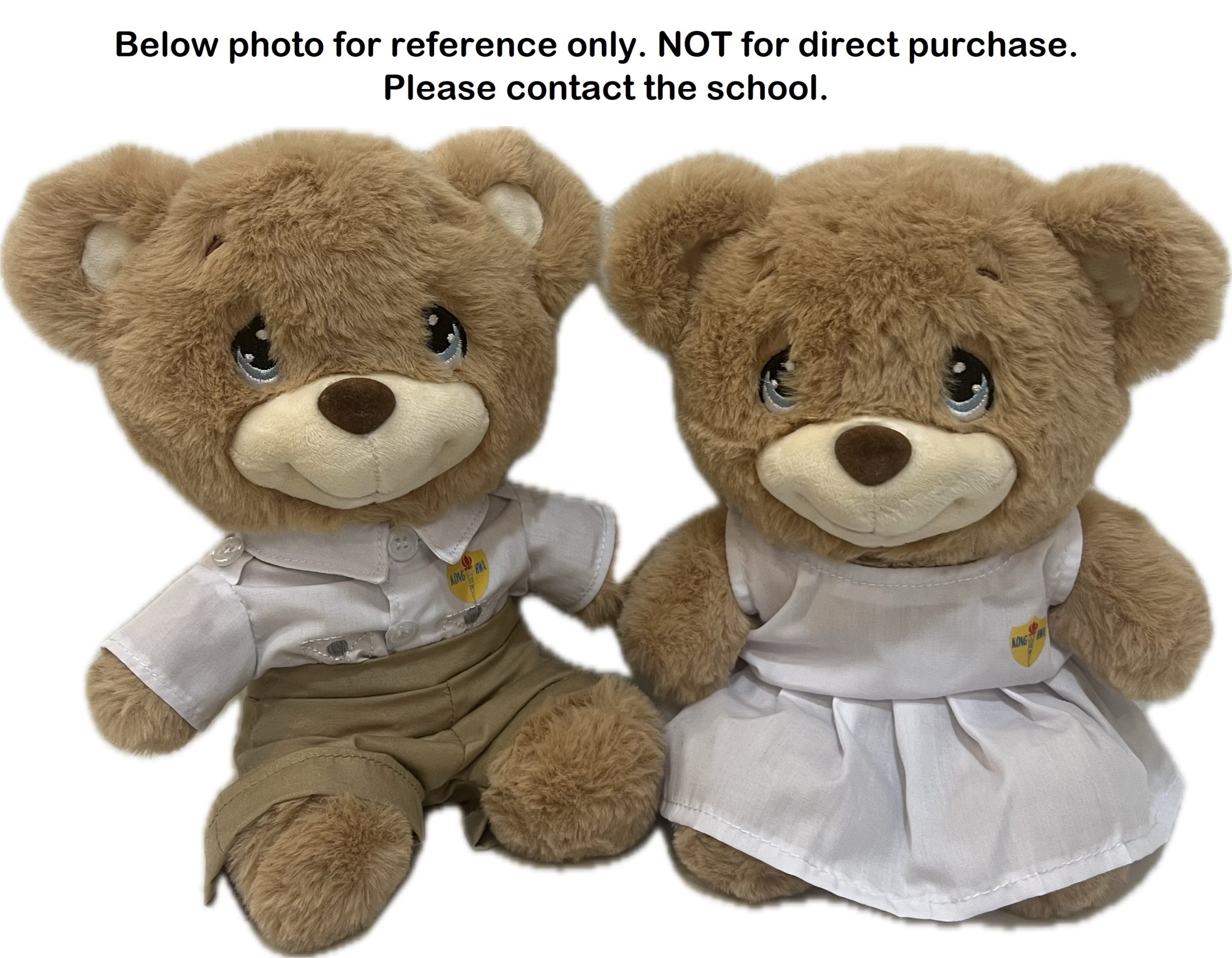 Customised Bear in School Uniform