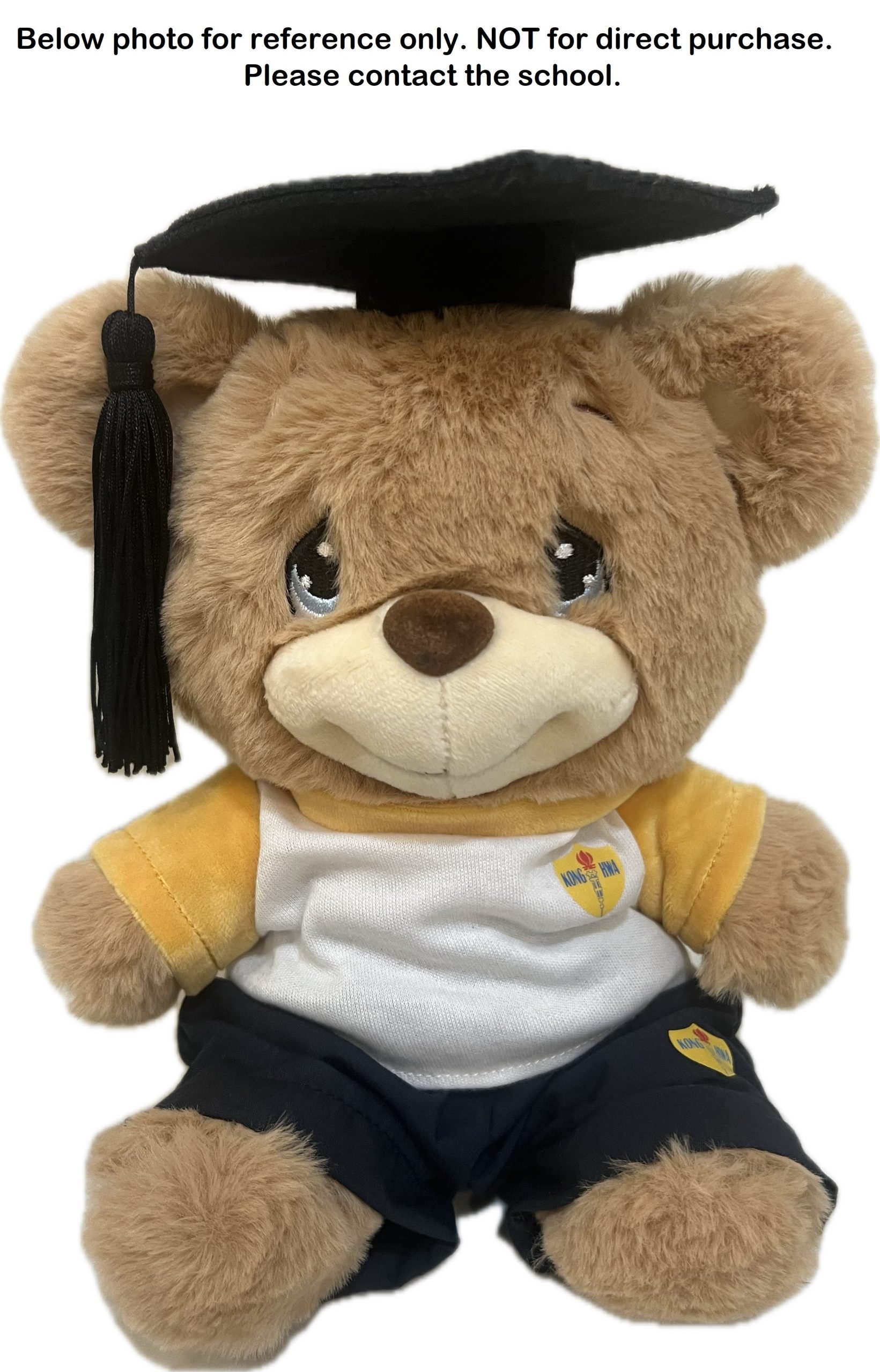 Customised Bear in PE Attire with Mortar Hat