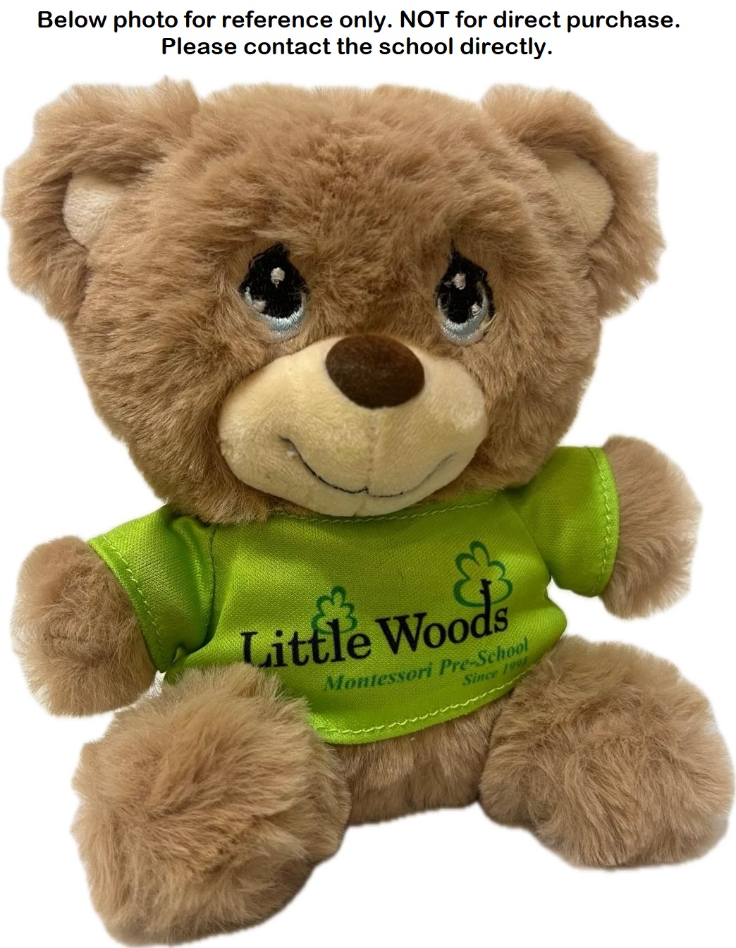 Customised School Bear