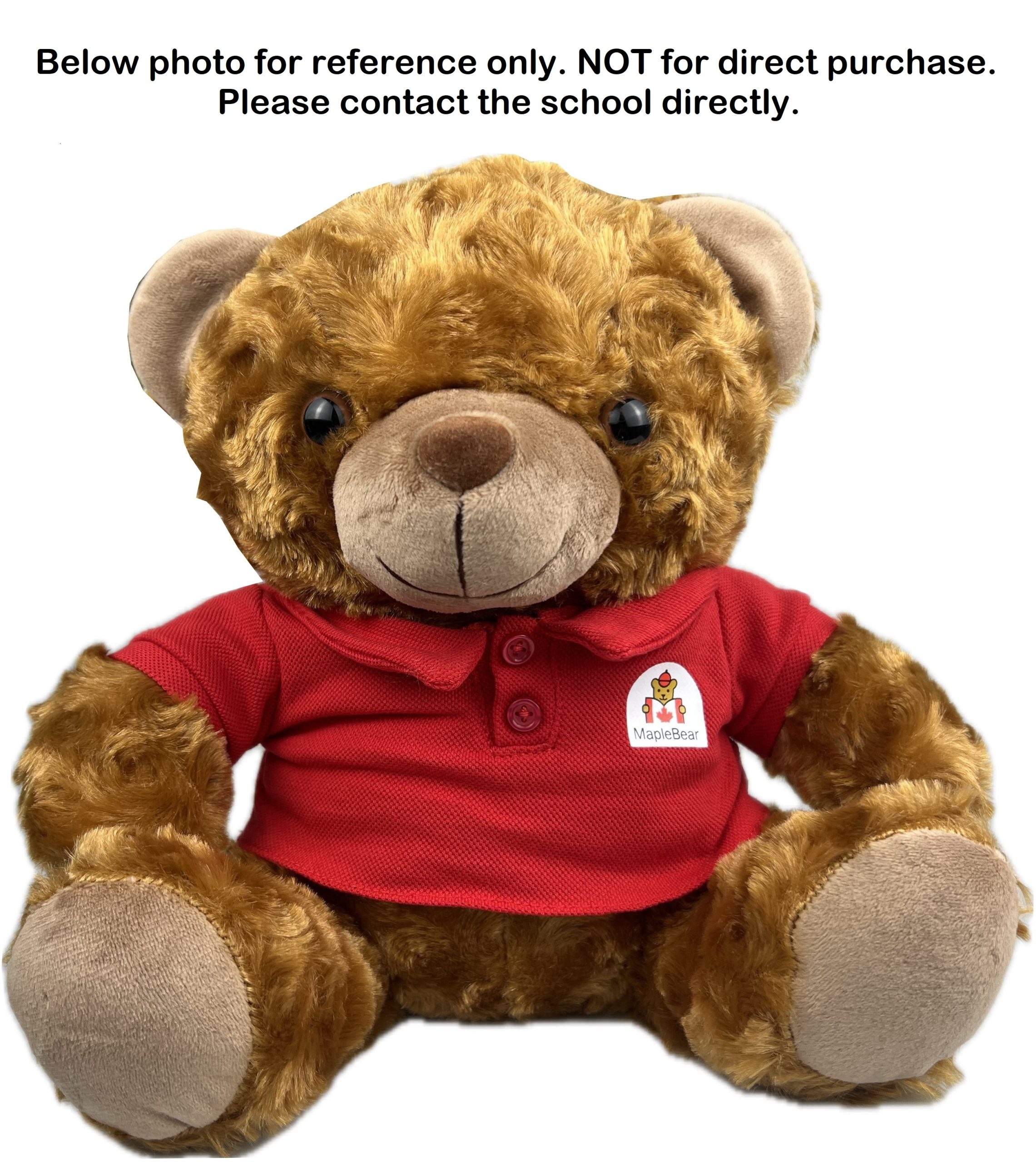 Customised Graduation Bear