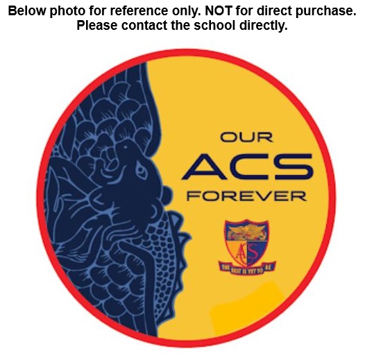 Customised Car Decal