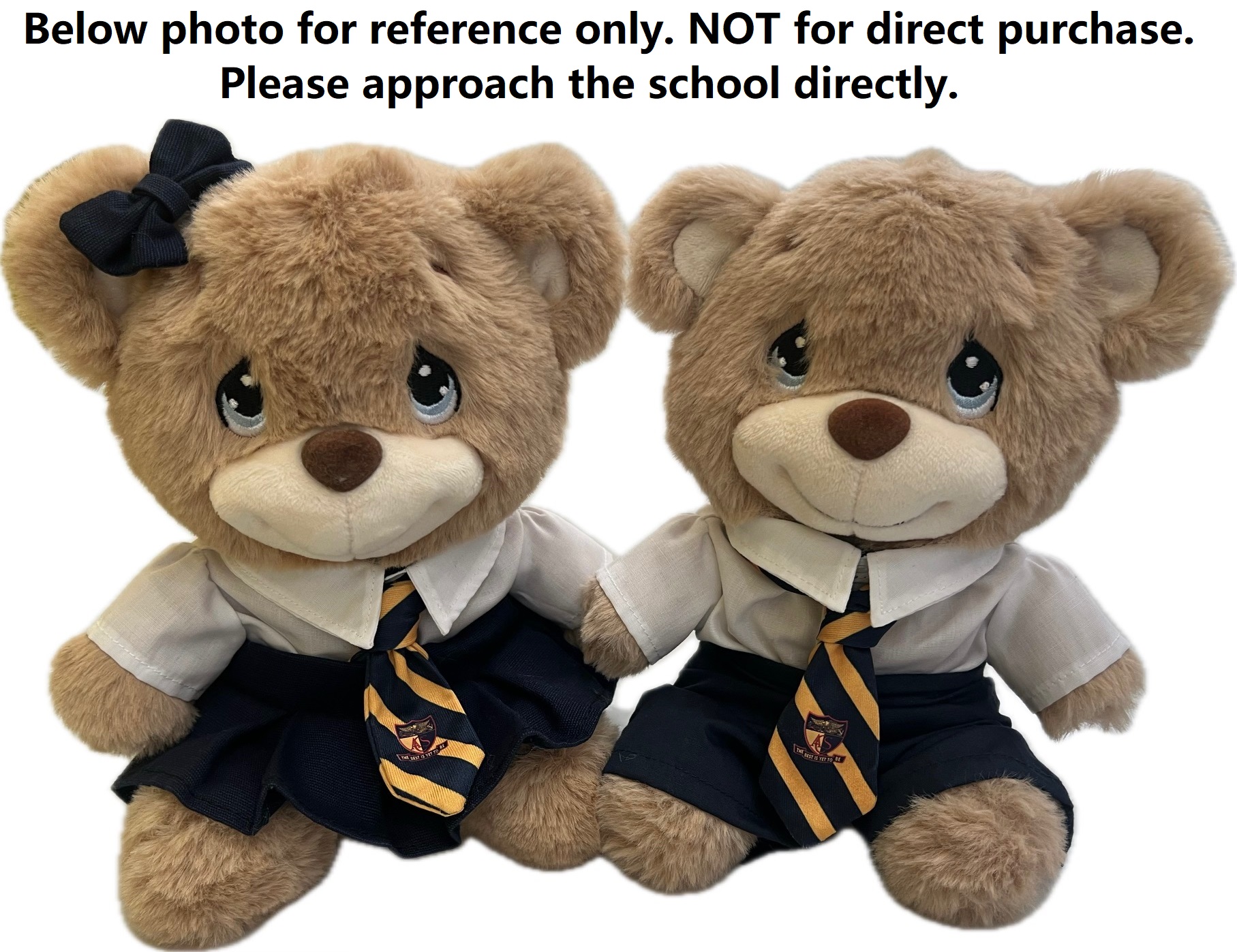 ACSI IB Bear