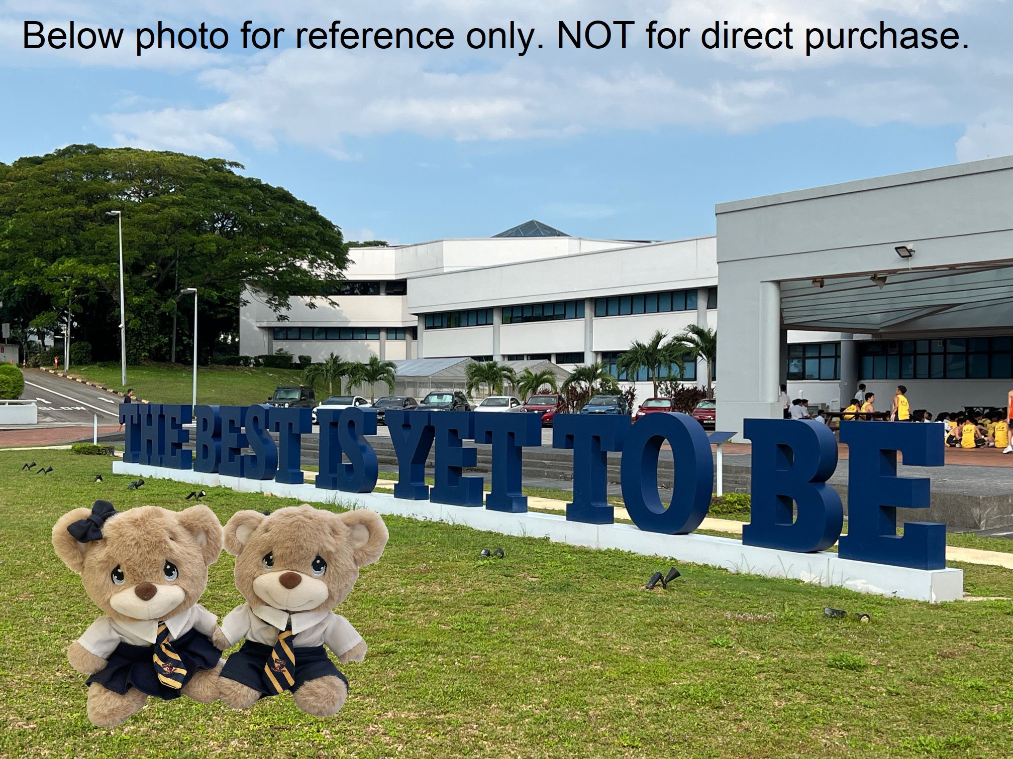 ACSI IB Bear