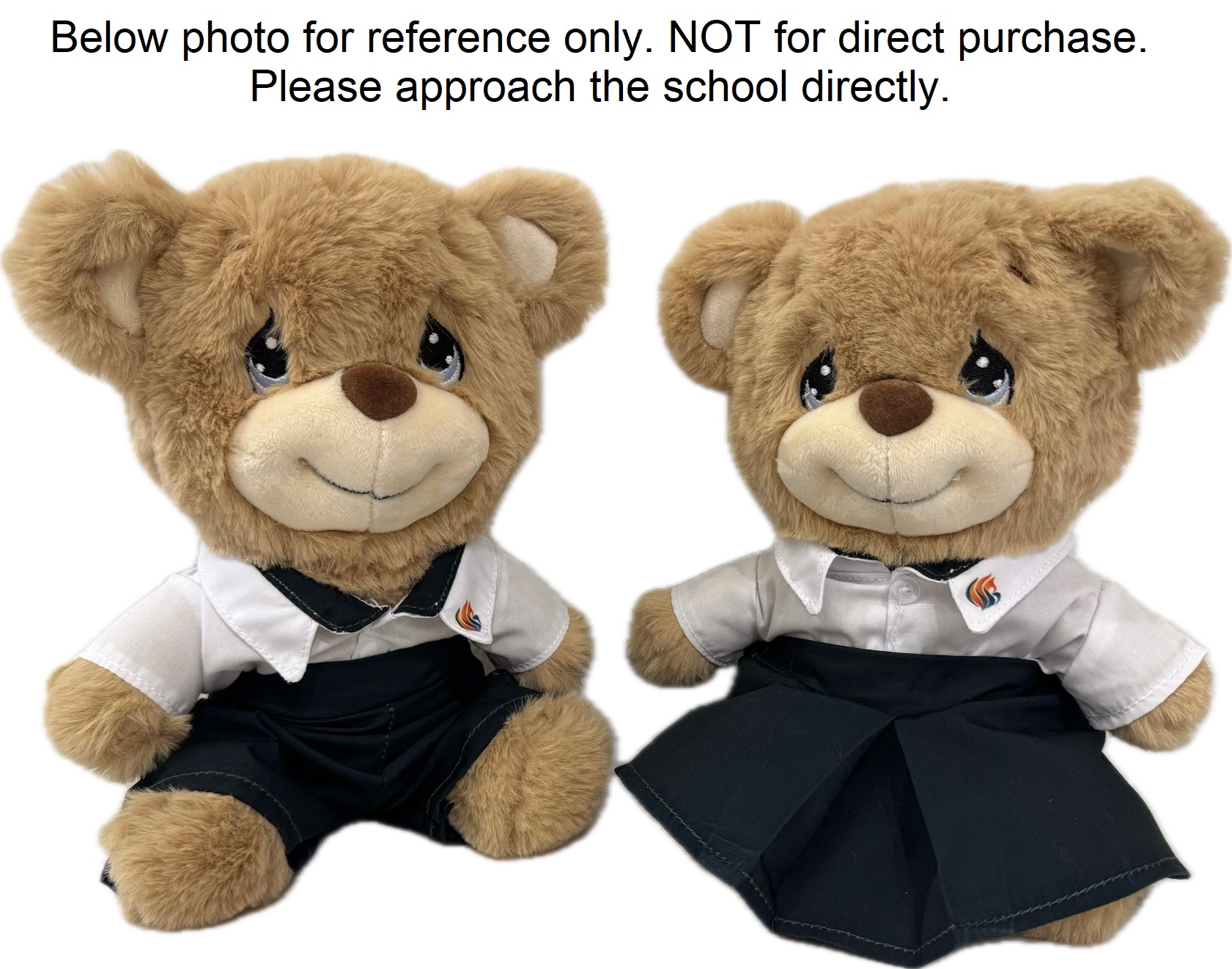 Anderson Serangoon J C Graduation Bear