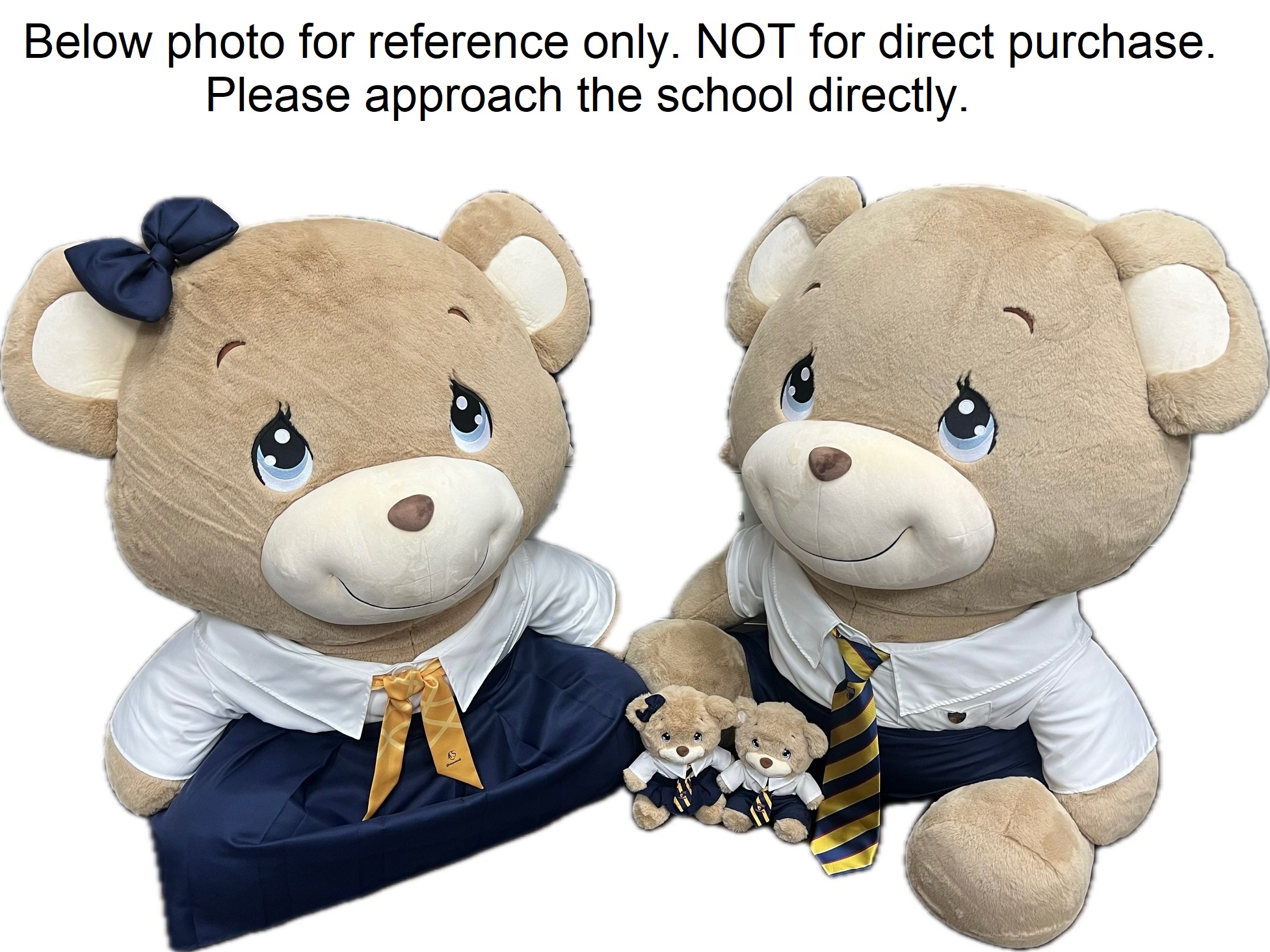ACS Independent 1 Meter Graduation Bear